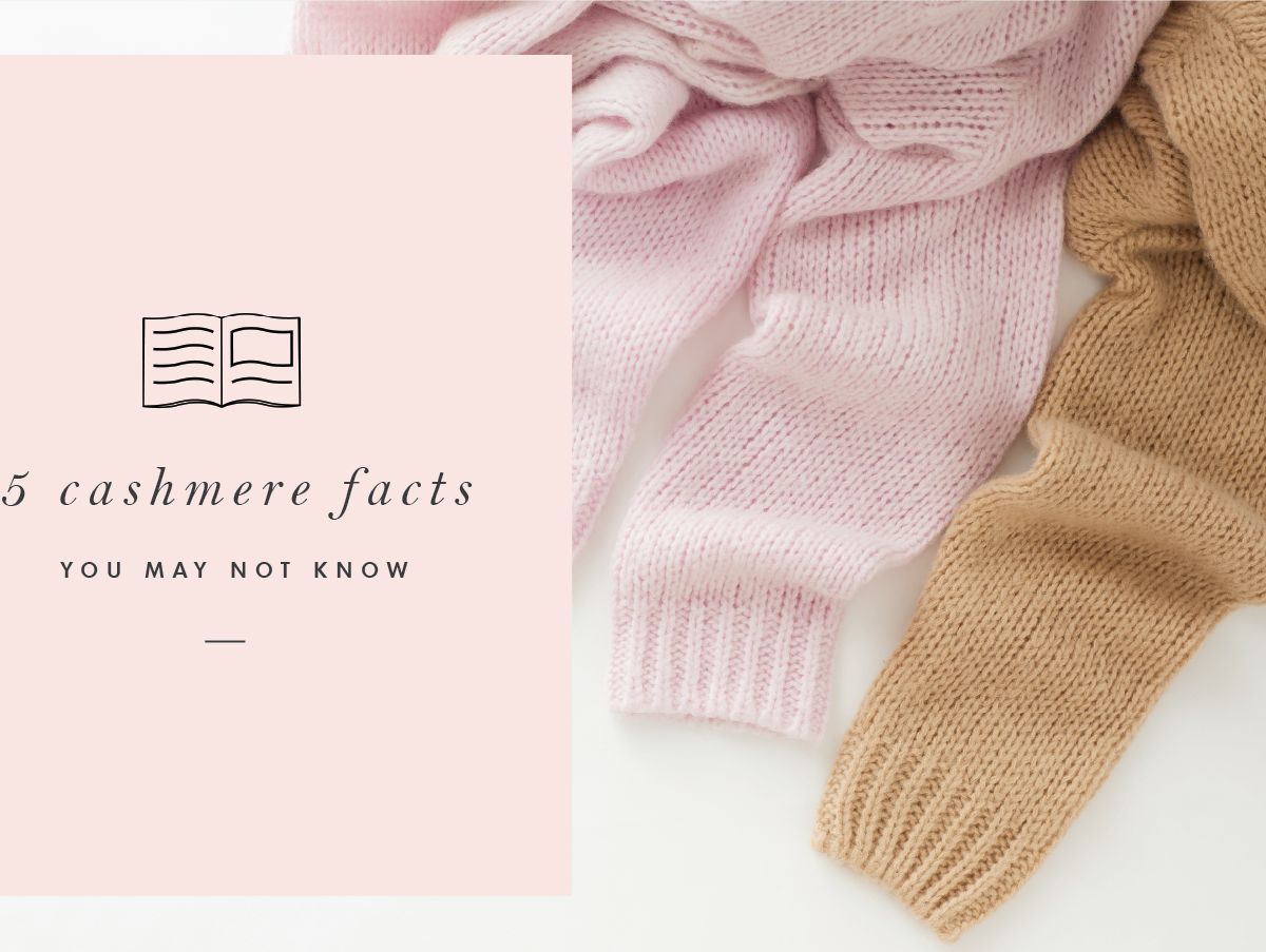 5 Facts About Cashmere