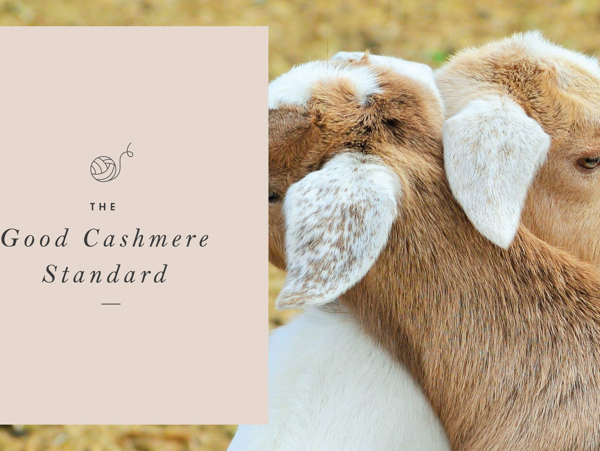 The Good Cashmere Standard