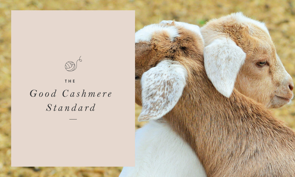 The Good Cashmere Standard