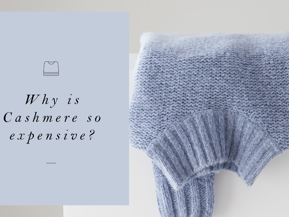 Why Is Cashmere so Expensive?