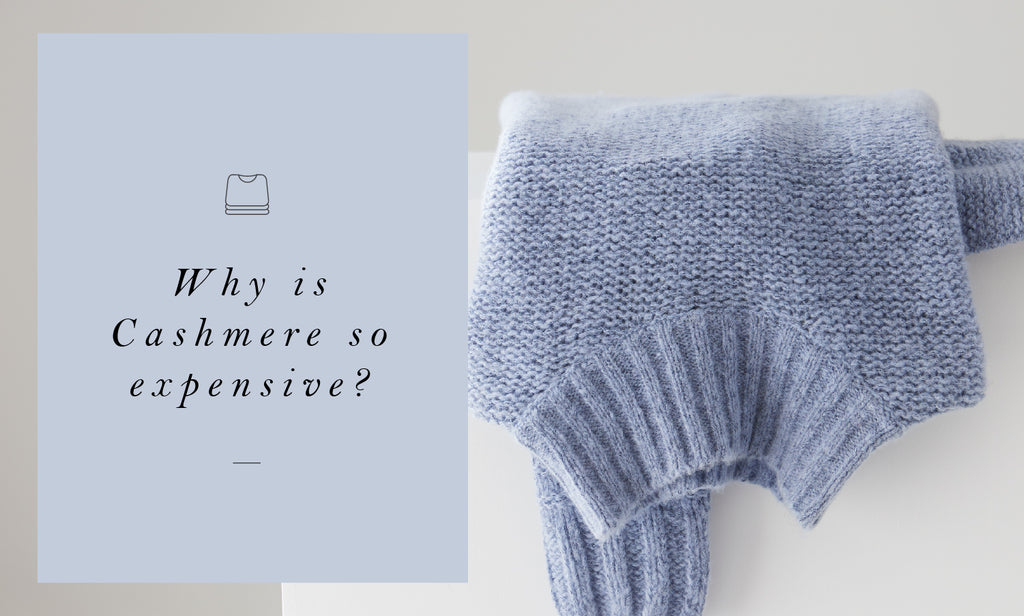 Why Is Cashmere so Expensive?