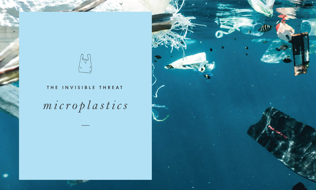 Microplastics ~ The invisible threat to our environment and our health