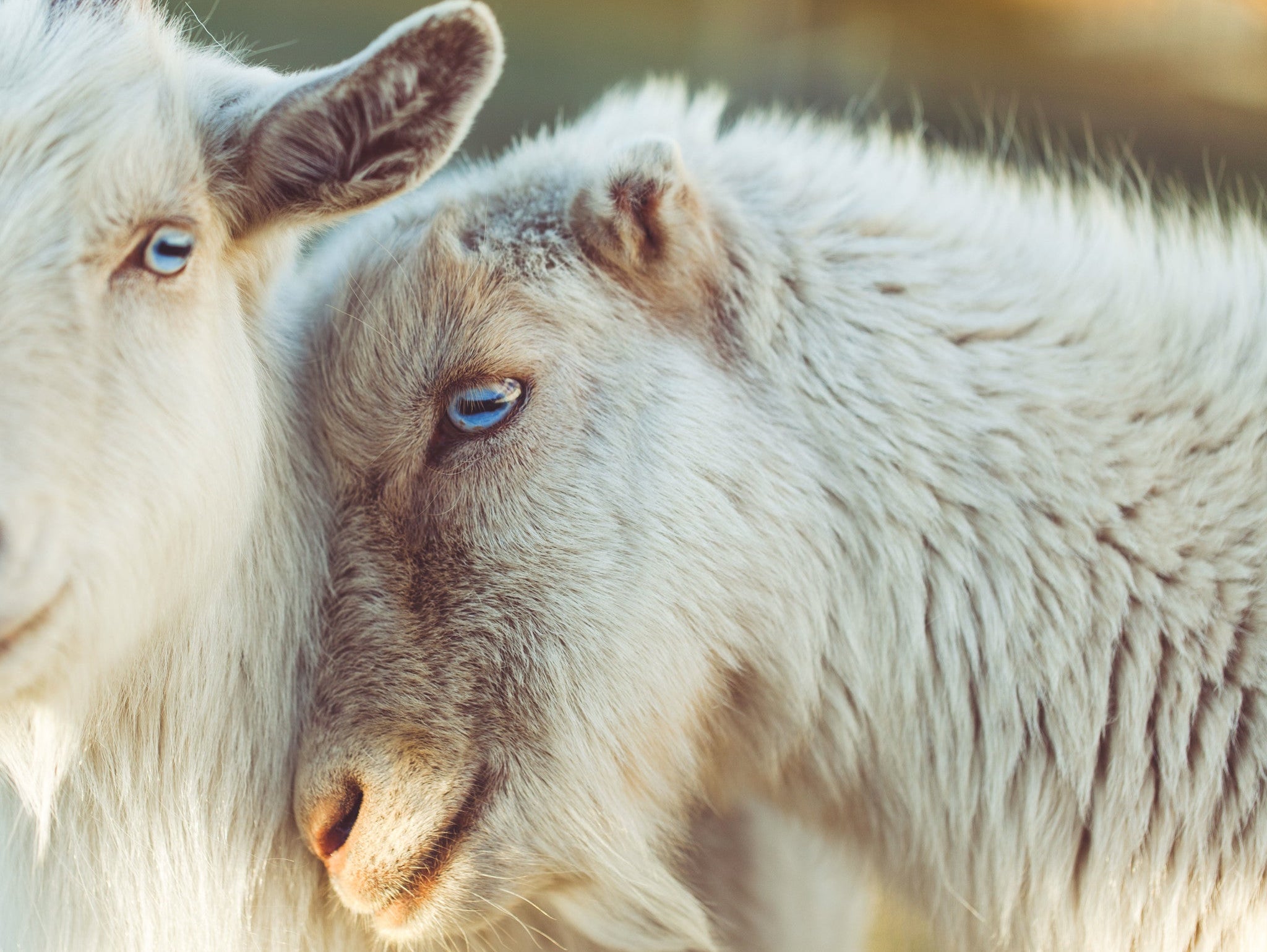Why Natural Fibers Are Better