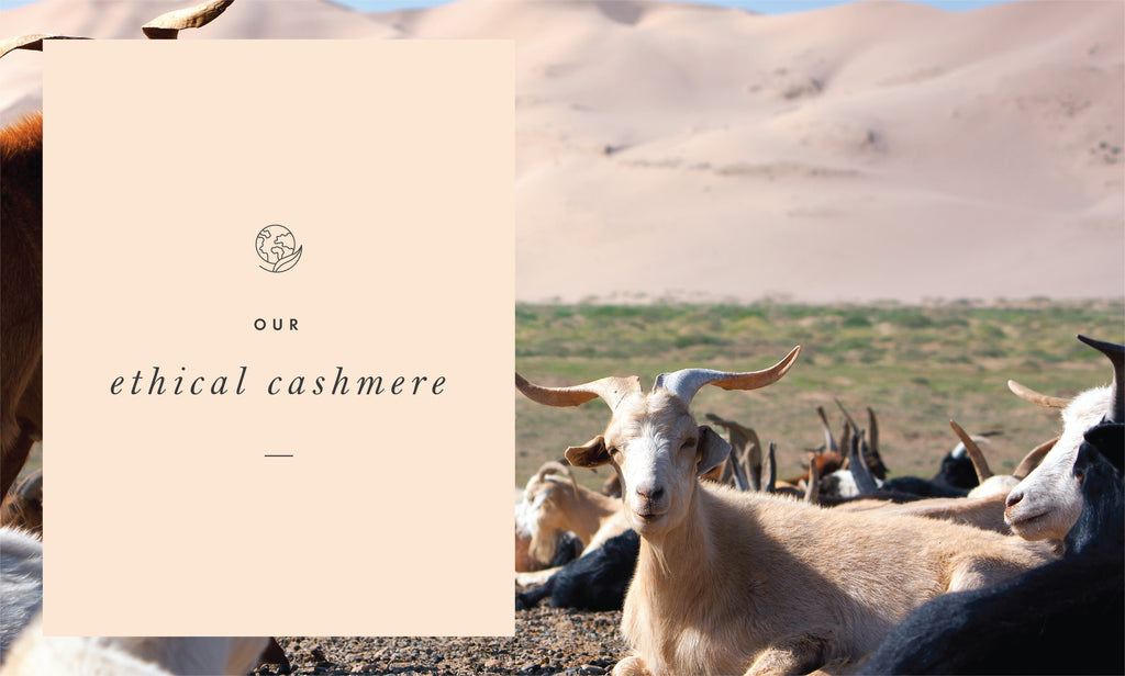Our Ethical Cashmere