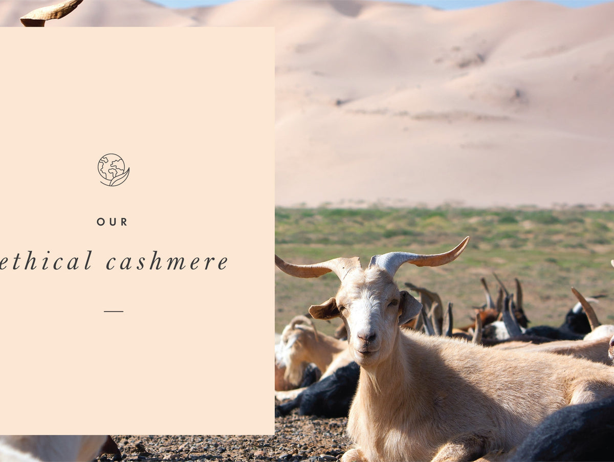 Our Ethical Cashmere
