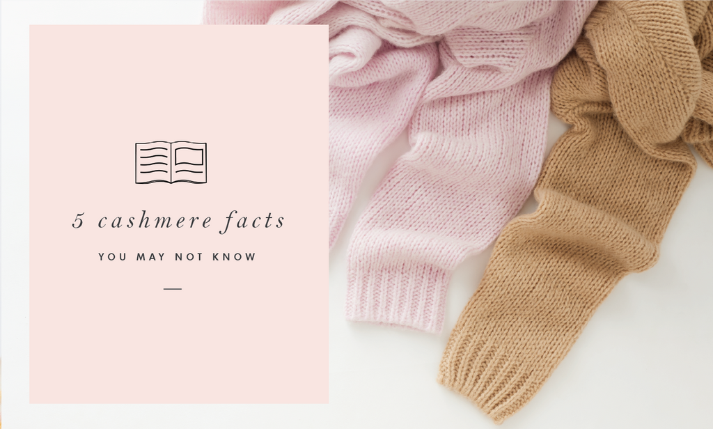 5 Facts About Cashmere