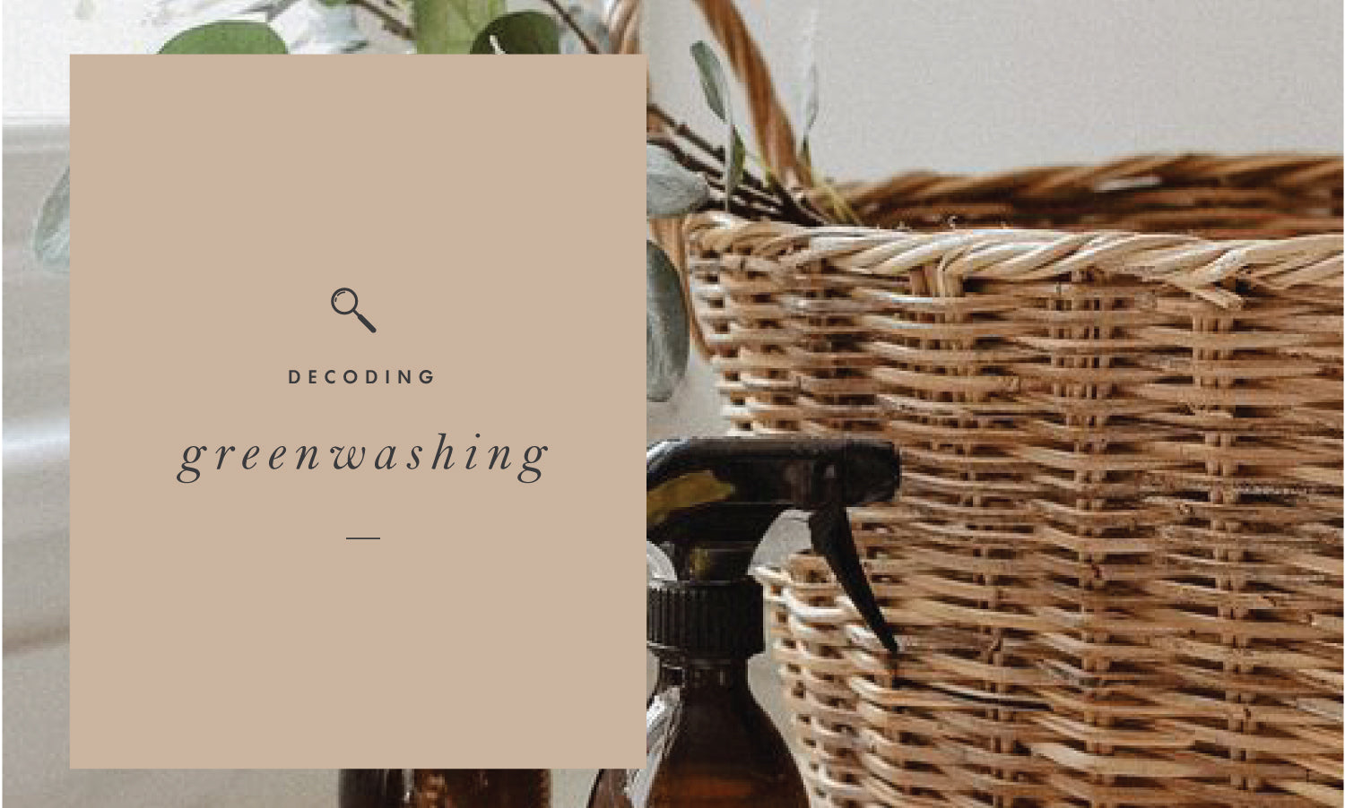 Decoding Greenwashing