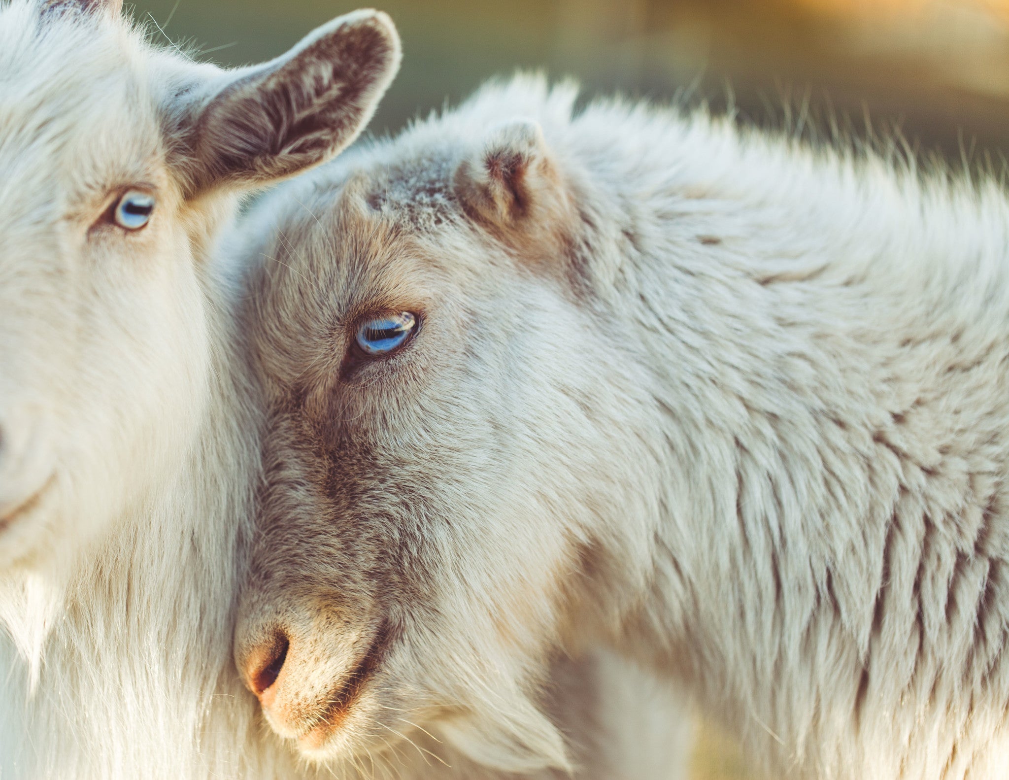 Why Natural Fibers Are Better
